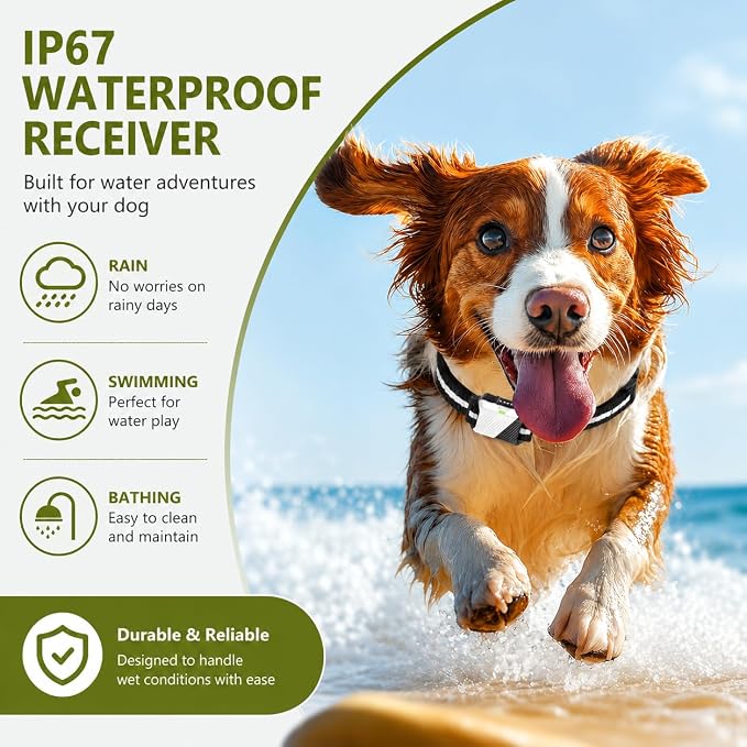 Shock Collar for Dogs, Dog Training Collar with Remote Control for 2 Dogs, 3 Training Modes with Beep, Vibration and Satic, Waterproof, Rechargeable for Large Medium