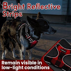 rabbitgoo Dog Harness, No Pull for Large Dogs with 2 Leash Clips, Pet Vest | No Choke with Handle, Adjustable Soft Padded, Reflective, Easy Control for Walking, Red Plaid, Small