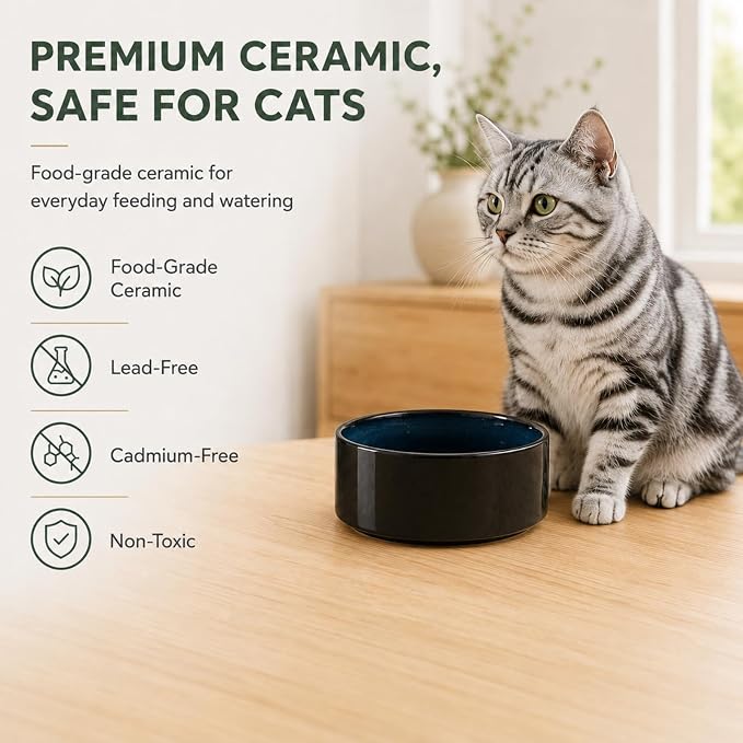 Havniva Cat Bowls Set of Two, 5.1” Ceramic Cat Food and Water Bowls | Cat Food Bowls Whisker Friendly, Non-Slip Base, Food-Grade Ceramic, Wide Opening, Dishwasher Safe, Cat Bowls for Indoor Cats