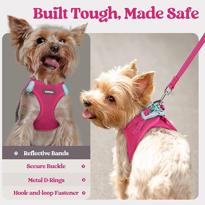 rabbitgoo Dog Harness Medium Sized and Leash Set, Step-in Puppy Pet Vest | Light, Soft, Breathable Air Mesh, Easy on and Remove with Hook & Loop, Secure Reflective for Walking, Rose Red XXL