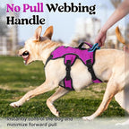 rabbitgoo Escape Proof Dog Harness for X-Large, No Pull with Lift Handle | No Escape, Full Soft Padded, Reflective Adjustable Vest, Leash Clip for Walking Hiking Training, Purple, X-Large