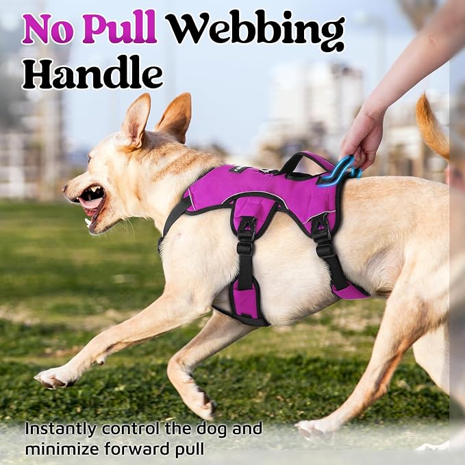 rabbitgoo Escape Proof Dog Harness for Large, No Pull with Lift Handle | No Escape, Full Soft Padded, Reflective Adjustable Vest, Leash Clip for Walking Hiking Training, Purple, Large