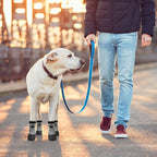 KOOLTAIL Anti Slip Dog Socks for Hot/Cold Pavement to Prevent Licking Paws,Booties for Hardwood Floors,Traction Rain Dog Boots&Paw Protectors Shoes with Grip for Outside Small Medium Large Senior Dogs