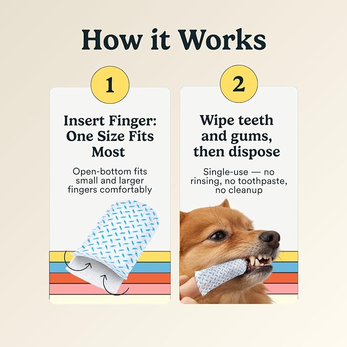 Jasper Dog Dental Wipes, Finger Tooth Wipes for Dogs, Coconut 60-Count | No-Brush Dual Texture Disposable Wipes for Fresh Breath, Daily Plaque & Tartar Control with Natural Ingredients, Vet Approved