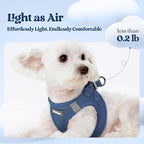 rabbitgoo Dog Harness Medium Sized and Leash Set, Step-in Puppy Pet Vest | Light, Soft, Breathable Air Mesh, Easy on and Remove with Hook & Loop, Secure Reflective for Walking, Navy Blue XL