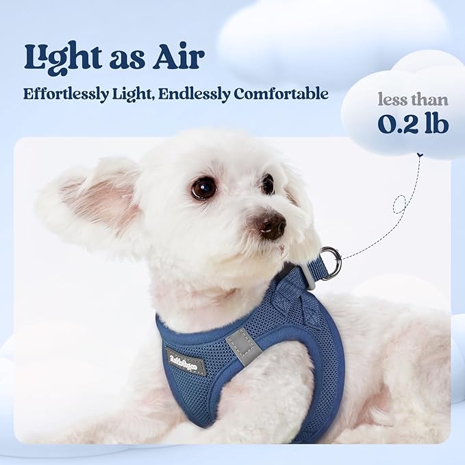 rabbitgoo Dog Harness Small Sized and Leash Set, Step-in Puppy Pet Vest | Light, Soft, Breathable Air Mesh, Easy on and Remove with Hook & Loop, Secure Reflective for Walking, Navy Blue XXXS