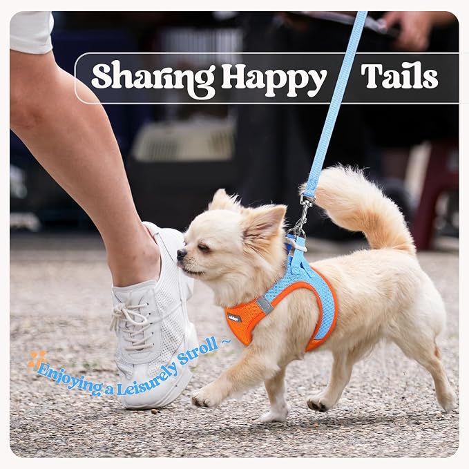 rabbitgoo Dog Harness Small Sized and Leash Set, Step-in Puppy Pet Vest | Light, Soft, Breathable Air Mesh, Easy on and Remove with Hook & Loop, Secure Reflective for Walking, Blue & Orange XXXS