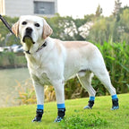 KOOLTAIL Dog Socks Shoes for Hot Pavement to Prevent Licking Paws, Winter Dog Boots&Paw Protector for Hardwood Floors Anti Slip,Traction Control Grip Booties for Small Medium Large Senior Dogs,Blue SM