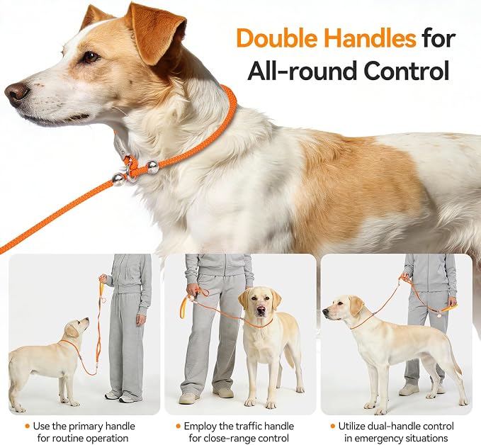 Dog Slip Leash with Double Padded Handles, Dog Training Lead to Stop Pulling,No-Pull Slip Leash and Collar Combo, Anti-Tangle,Traffic Control,Heavy Duty&Durable
