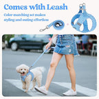 rabbitgoo Dog Harness Small Sized and Leash Set, Step-in Puppy Pet Vest | Light, Soft, Breathable Air Mesh, Easy on and Remove with Hook & Loop, Secure Reflective for Walking, Blue & Plaid Trim S