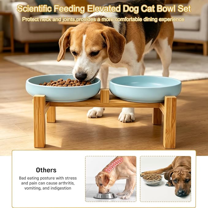 Shallow Elevated Cat Bowls with Bamboo Stand, 6.1 Inch Wide Ceramic Cat Dish Whisker Friendly, 2 Pack Pet Food and Water Plates