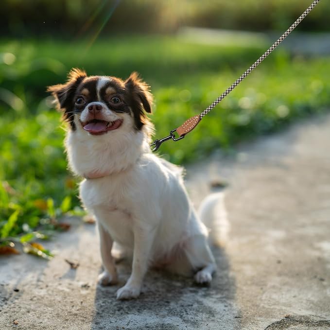 Mile High Life Thin Small Dog Leash with Genuine Leather Connection | Rope Leash, Heavy Duty 360° Swivel Metal Clasp, for Small Medium & Large Dogs (Black Khaki, 48 Inch)