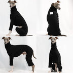 D Doggy Star Italian Greyhound Clothes Stretchable Onesie Whippet for Dog (S,Ribbed Black)