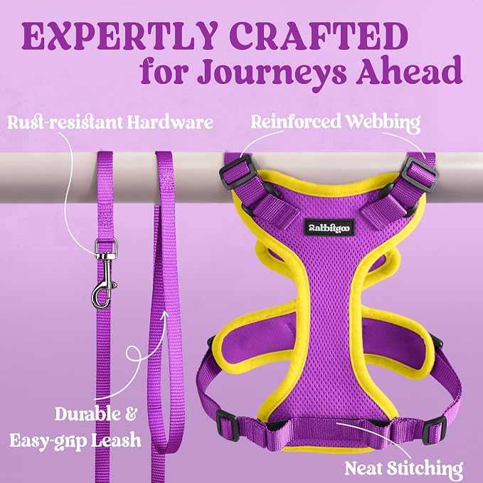 rabbitgoo Cat Harness and Leash Set, Escape Proof Vest, Purple & Yellow | Soft Breathable Mesh, Easy Adjustable Fit, Snap Buckles, Sturdy Clip, Reflective Strips, for Small & Average Cats Walks, Xs