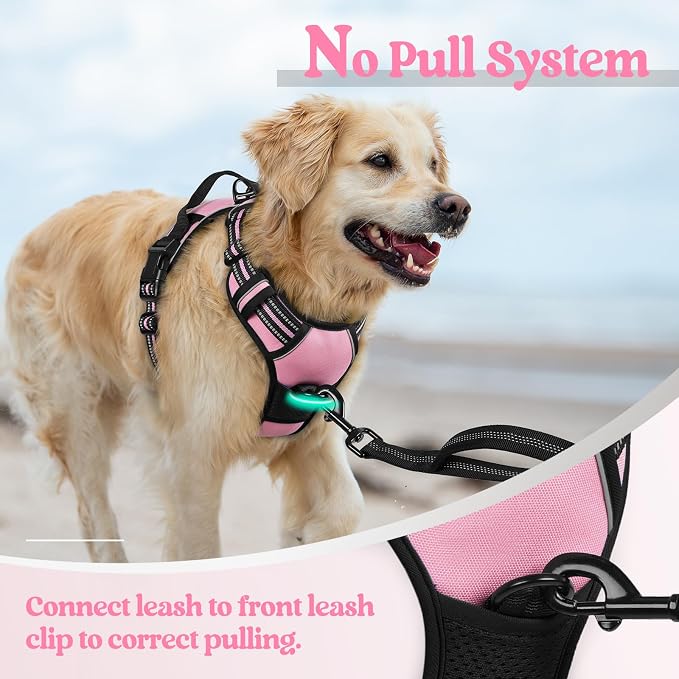 rabbitgoo Dog Harness, No Pull Medium Sized with 2 Leash Clips, Pet Vest | No Choke with Handle, Adjustable Soft Padded, Reflective, Easy Control for Walking, Pink, Medium
