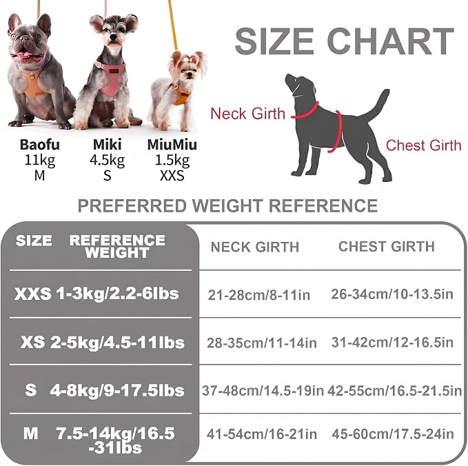 Puppytie Small Dog Harness and Leash Set, Silver Grey, S (9-17.5 lbs) | Dog Harness Small Sized Dog, Dog Leash for Small Dogs, Soft and Lightweight, Puppytie Dog Harness for Daily Walks