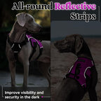 rabbitgoo Escape Proof Dog Harness for X-Large, No Pull with Lift Handle | No Escape, Full Soft Padded, Reflective Adjustable Vest, Leash Clip for Walking Hiking Training, Purple, X-Large