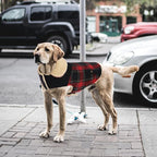 Winter Coat for Small and Medium Dogs, Puppy Plaid Jacket, Warm Coat for Cold Weather, Windproof Warm Dog Garments, Pet Thickened Outfits Indoor Outdoor, Red M