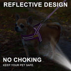 BEAUTYZOO Dog Harness for Large Dogs, No Pull Dog Harness and Leash Set, Soft Escape Proof Puppy Vest Harness with Handle, Reflective Lightweight Step in Harness for Girl Boy Dogs, Purple L