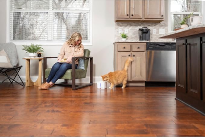 PetSafe Viva Pet Fountain - Encourages Healthy Hydration - Automatic Water Dispenser with Double Filtration - Ultra Quiet Water Fountain - Easy to Assemble & Clean - Stainless Steel - 64 oz | Whisper-Quiet Pump Encourages Hydration, BPA-Free, Dishwashe...