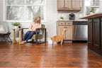 PetSafe Viva Pet Fountain - Encourages Healthy Hydration - Automatic Water Dispenser with Double Filtration - Ultra Quiet Water Fountain - Easy to Assemble & Clean - Stainless Steel - 64 oz | Whisper-Quiet Pump Encourages Hydration, BPA-Free, Dishwashe...