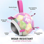 QDAN Dog Balls: Herding Ball for Dogs, Outdoor Toys Dog Soccer Ball with Straps, Interactive Pet Toys for World Cup Large Dogs Tug of War, Pet Birthday Gifts,Gradient Rainbow (8 Inch)