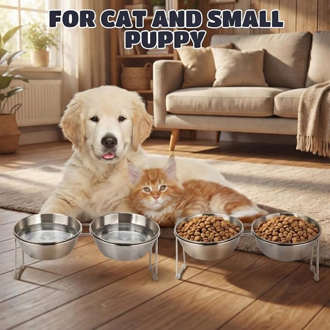 2 Set Elevated Cat Bowls 4.53'' Height Raised Stainless Steel Cat Food Bowls Anti-Slip 15° Tilted Stand Shallow Food and Water Dishes for Kitty and Small Puppy (Double Bowl)
