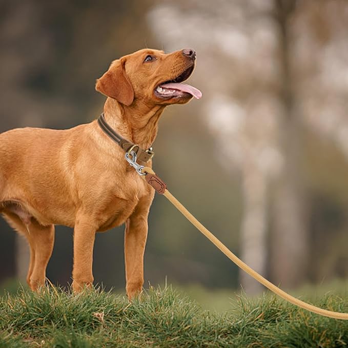 Mile High Life Dog Leash with Genuine Leather Handle, 6 FT/5 FT/4 FT | Leather Grip Rope Leash, Heavy Duty 360° Swivel Metal Clasp, for Small Medium & Large Dogs