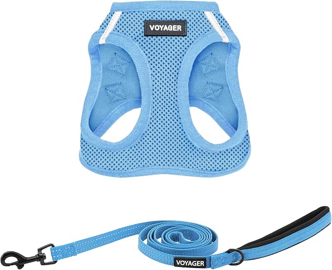 Best Pet Supplies Voyager Step-in Air All Weather Mesh Harness and Reflective Dog 5ft Leash Combo with Neoprene Handle, for Small, Medium and Large Breed Puppies - Baby Blue, Large