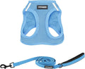 Best Pet Supplies Voyager Step-in Air All Weather Mesh Harness and Reflective Dog 5ft Leash Combo with Neoprene Handle, for Small, Medium and Large Breed Puppies - Baby Blue, XXX-Small