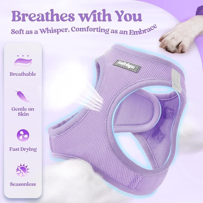 rabbitgoo Dog Harness Small Sized and Leash Set, Step-in Puppy Pet Vest | Light, Soft, Breathable Air Mesh, Easy on and Remove with Hook & Loop, Secure Reflective for Walking, Light Purple S