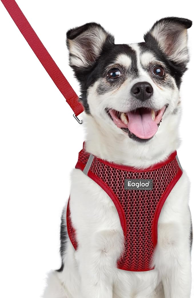 Eagloo Small Dog Harness and Leash Set, Step in Medium Small Puppy Pet Vest | Light, Soft, Breathable Air Mesh, Easy on and off with Hook & Loop, Reflective for Safe Walking, Red, L