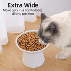 Ceramic Elevated Cat Bowls - 6.2 Inch Extra Wide Raised Cat Food and Water Bowl Set for Indoor Cats, Whisker-Friendly Ceramic Cat Dish for Elder Big Cats & Small Dogs,White,2 Pack