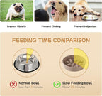 Havniva Elevated Slow Feeder Dog Bowls, Ceramic Dog Bowl Slow Feeder Set | 0.9 Cups Raised Slow Feeding Bowl for Small Breed, 6.1” Dog Water Bowl with Wooden Stand, Puzzle Dog Slow Feeder, Non-slip