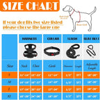 LOBEVE No Pull Dog Harness, Collar & Leash Set | Includes Dog Seat Belt, Collapsible Bowls & Poop Bag Dispenser. Ideal for Training, Walking, Hiking. Fits Small to Large Dogs(Black-M)