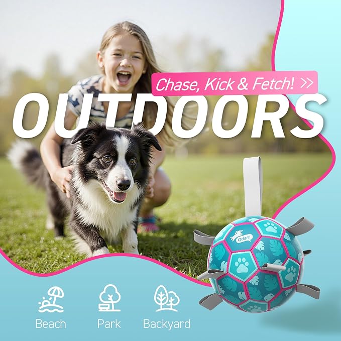 QDAN Dog Toys Soccer Ball with Straps, Pool Dog Water Toy, Outside Ball | 6 Inch Herding Ball for Small Dogs, Puppy Toy, Outdoor Toys Balls for Dogs to Keep Them Busy, Dog Birthday Gift, Lake Blue