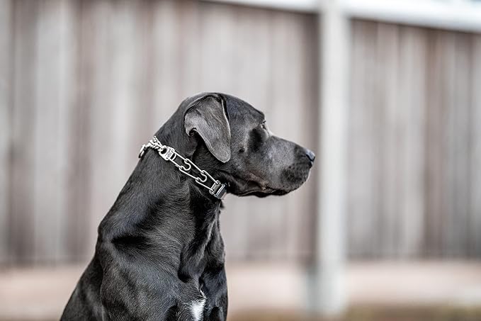 Herm Sprenger Dog Training Prong Collar with Quick Release Cliclock Buckle and Swivel Ring | Adjustable Length Stainless Steel Collar Made in Germany for Large Dogs up to 20" Neck (3.2mm Prongs)
