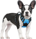 rabbitgoo Dog Harness, No Pull for Small Dogs with 2 Leash Clips, Pet Vest | No Choke with Handle, Adjustable Soft Padded, Reflective, Easy Control for Walking, Blue, Small