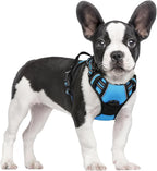 rabbitgoo Dog Harness, No Pull for Small Dogs with 2 Leash Clips, Pet Vest | No Choke with Handle, Adjustable Soft Padded, Reflective, Easy Control for Walking, Blue, Small