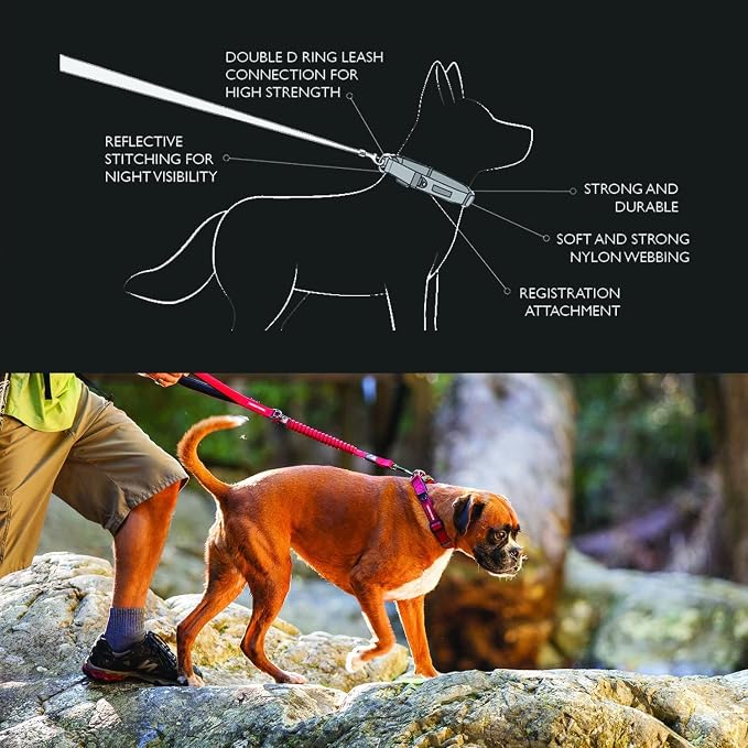 EzyDog Double Up Dog Collar, Strong Double D-Rings - Large, Red | Dual D-Rings for Superior Strength, Safety, and Comfort, Soft Touch Nylon Webbing, Reflective Stitching, Id Attachement Point