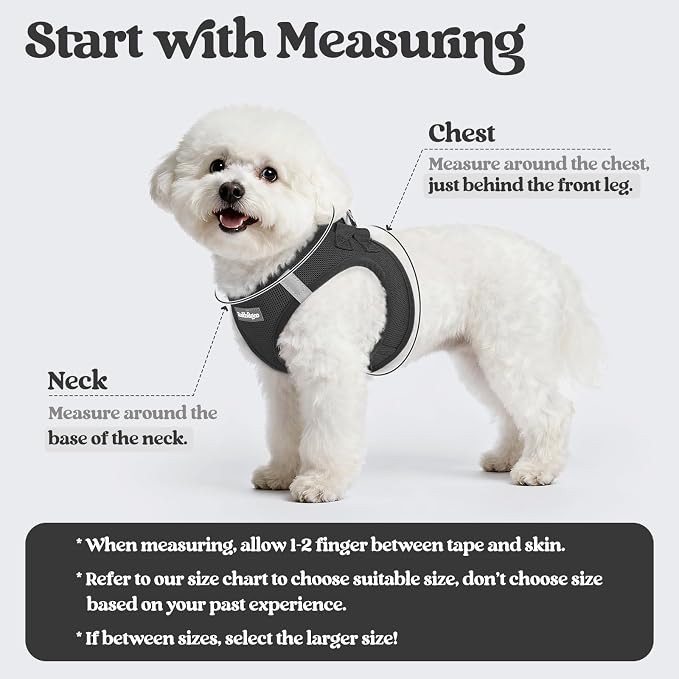 rabbitgoo Dog Harness Small Sized and Leash Set, Step-in Puppy Pet Vest | Light, Soft, Breathable Air Mesh, Easy on and Remove with Hook & Loop, Secure Reflective for Walking, Black XS