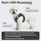 rabbitgoo Dog Harness Small Sized and Leash Set, Step-in Puppy Pet Vest | Light, Soft, Breathable Air Mesh, Easy on and Remove with Hook & Loop, Secure Reflective for Walking, Black S