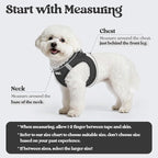rabbitgoo Dog Harness Small Sized and Leash Set, Step-in Puppy Pet Vest | Light, Soft, Breathable Air Mesh, Easy on and Remove with Hook & Loop, Secure Reflective for Walking, Black M