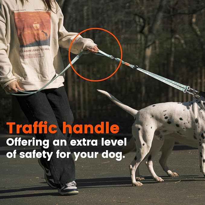 HOWGO Double Dog Leash,Tangle-Free 360 Swivel(Pink, Pro M-L w.Handle) | Individually Adjustable Length, Double Padded Handles,Aviation Aluminum Hooks,Durable Nylon,No-Tangle Walking,All Breeds