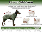 Skmeditec Dog Raincoat with Hood, Waterproof Puppy Rain Coat, Windproof Breathable Jacket with Mesh Lining, Outdoor Hiking Shell Coat for Small Medium Large Sized Dogs (Green, 4XL)