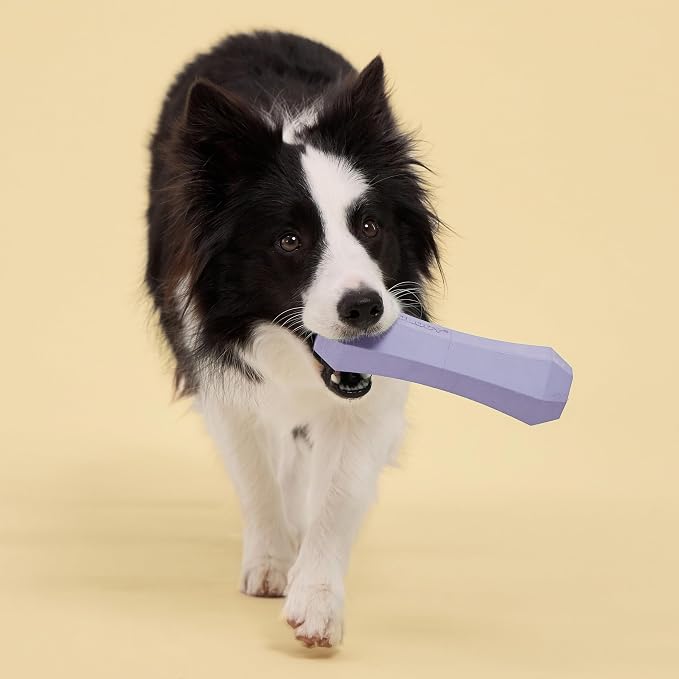 Playology Dog Toys | Squeaky Chew Stick for Large Dogs | Lamb Scented Jumbo Fetch Toy | Squeaky Dog Chew Toy