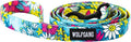 Wolfgang Heavy Duty Dog Leash, Pull-Tested for Walking & Training, LazyDaisy Print, Small