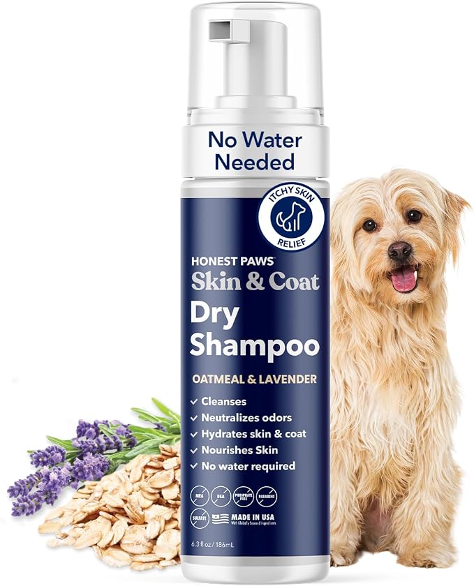Honest Paws Dog Dry Shampoo - Waterless No Rinse Foaming Formula Reducing Itch Cleanse Hydrate Nourish Dry Skin and Smelly Coat Help Decrease Odor Shedding and Allergies - Oatmeal & Lavender - 6.3 oz