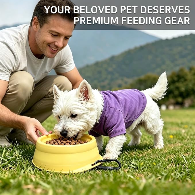 Cool Kids Collapsible Dog Bowl Travel Portable Anti-Tip Double-Sided | 2-In-1 Slow Feeder & Hydration, Catnip Scent, Abs+Tpe Sturdy Build, Fits Small Medium Pups, Hiking Camping Gear