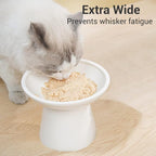 CEEFU 2-Pack Extra Wide Elevated Ceramic 6.2" Shallow Cat Food Bowls | Cat Dish for Whisker Fatigue Relief, 5" Height for Easy Feeding, Durable Raised, White